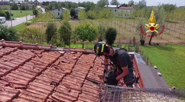 In Friuli Venezia Giulia interventi per il maltempo, le immagini