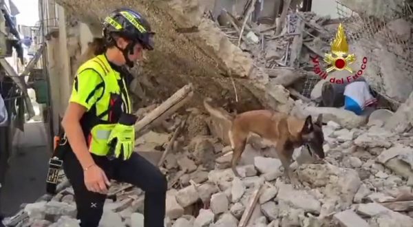 Unità cinofile al lavoro dopo crollo palazzina a Torre del Greco