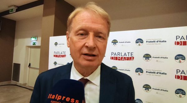 Malan “Dal Reddito di Cittadinanza effetti paradossali”