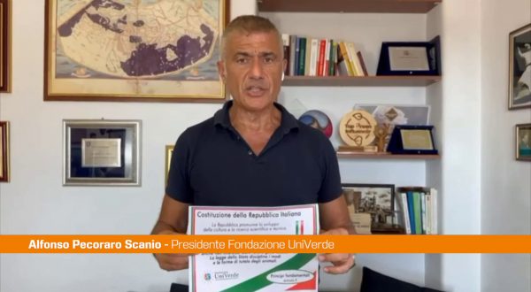 Pecoraro Scanio “Bene tutela ambiente in statuto comunale a Salerno”