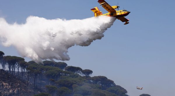 Incendi in Sicilia, domati diversi roghi ma resta allerta