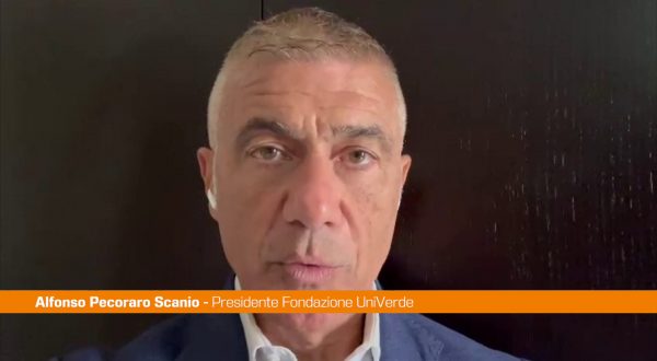 Pecoraro Scanio “Aumento limiti elettrosmog è blitz contro la salute”