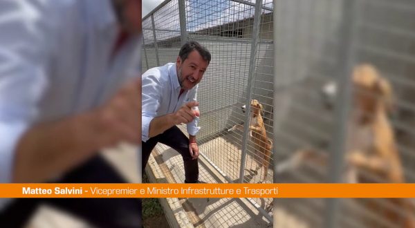 Salvini visita canile “Importante aprire le porte ai cuccioli”