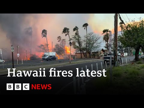 At least 36 dead as Hawaii fires devastate island of Maui – BBC News