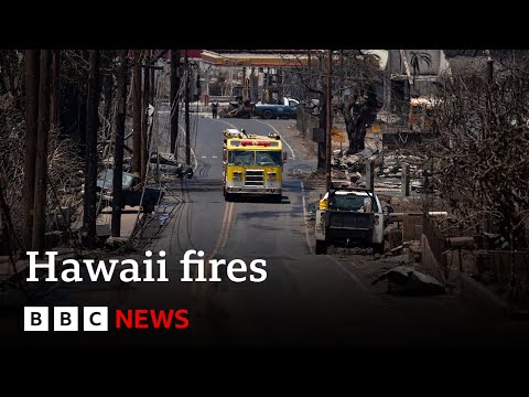 Hawaii wildfires: At least 80 killed in Maui – BBC News