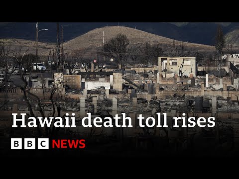 Maui fire: At least 96 killed by Hawaii wildfires – BBC News