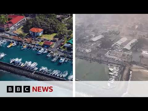 Hawaii wildfires: Before and after footage shows extend of damage – BBC News