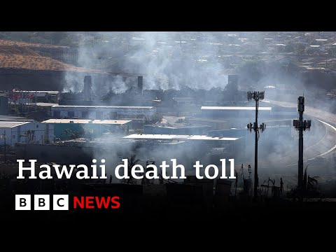 Hawaii wildfires: Crews may find 10 to 20 wildfire victims a day, says governor – BBC News