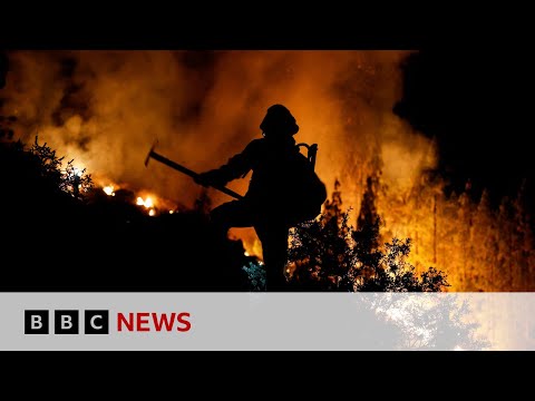 Wildfires in Hawaii, Canada and Tenerife cause concern – BBC News