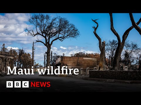 Hawaii wildfire: Maui emergency chief quits after sirens criticism – BBC News