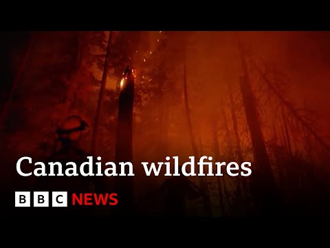 Canadian wildfires: Yellowknife evacuates 20,000 people – BBC News