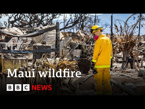 Maui wildfire: More than a thousand still missing after Hawaii wildfire – BBC News