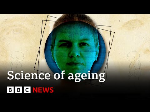 How to live longer, according to science – BBC News