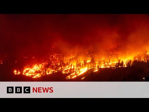 Canada wildfires: Soldiers sent to British Columbia to tackle blazes – BBC News