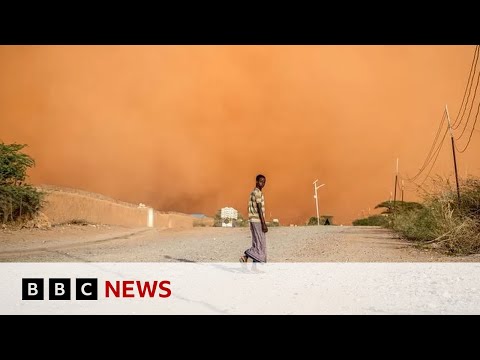 Up to 75% of the world could be facing drought by 2050 – BBC News