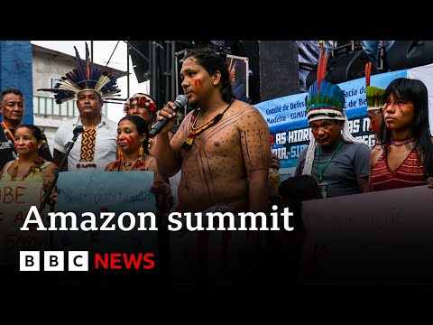 Amazon rainforest: Leaders meet in Brazil for summit – BBC News