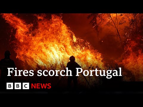 Portugal battles wildfires as temperatures soar – BBC News