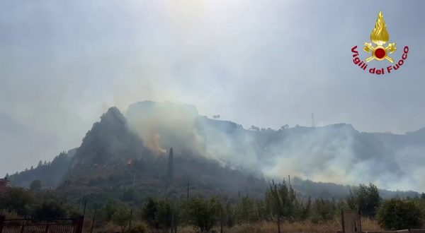 Incendi nel Palermitano, vigili del fuoco e Canadair in azione