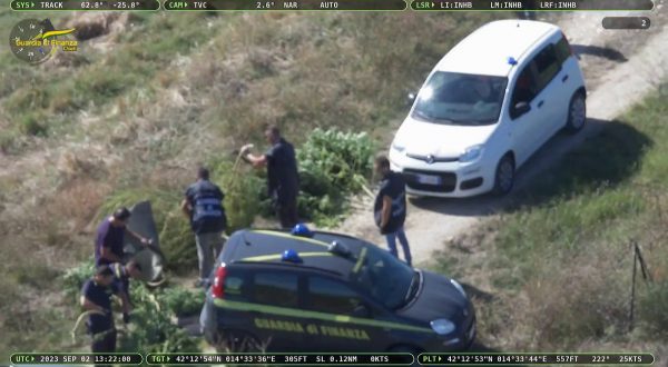 Piantagione di marijuana sequestrata in provincia di Chieti