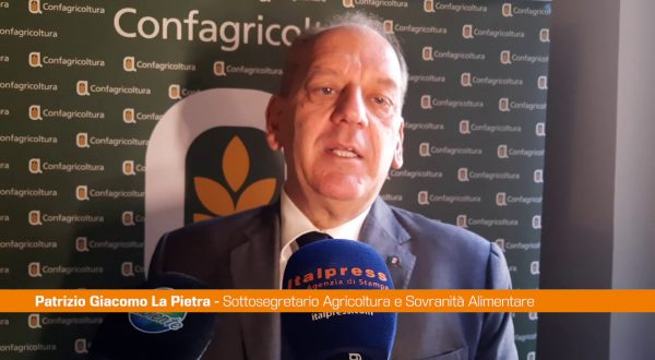 La Pietra “Impegno per inserire la salicoltura nel comparto agricolo”