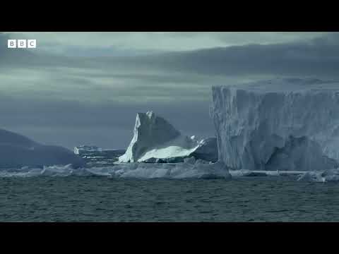 Antarctic winter sea-ice reaches record lows – BBC News