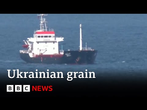 Second ship carrying Ukrainian grain reaches Turkey – BBC News