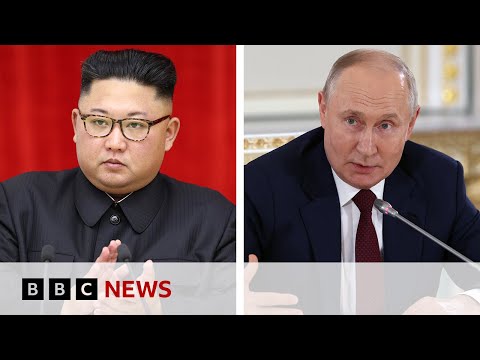 Ukraine war: Kim Jong Un to meet Vladimir Putin in Russia – BBC News