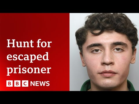 Daniel Khalife: Police search London’s Richmond Park for escaped terror suspect – BBC News