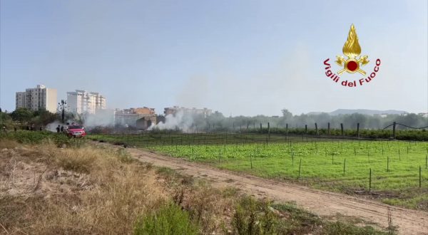 Fiamme in un canneto a Palermo, vigili del fuoco in azione