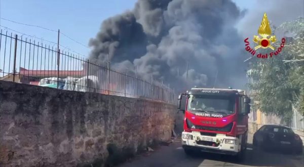 Incendi a Palermo e provincia, vigili del fuoco e 3 canadair in azione