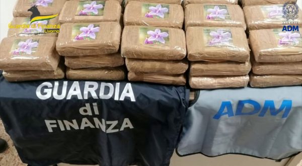 Livorno, sequestrati 48,5 kg di cocaina provenienti dal Sud-America