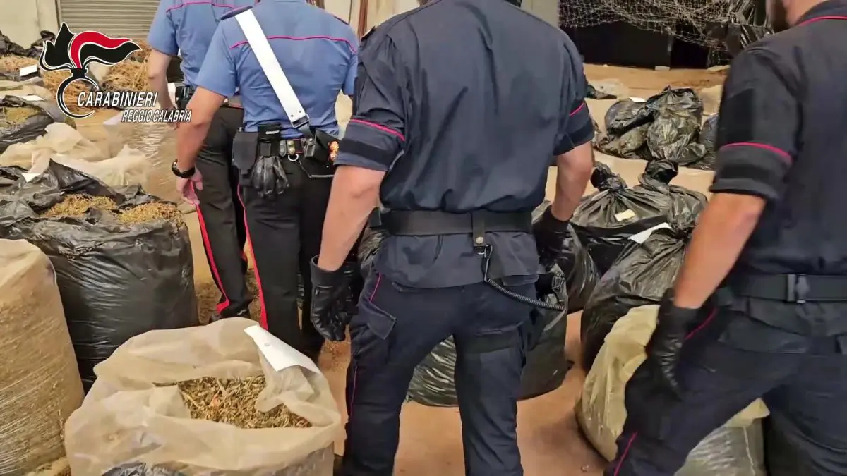 Sequestrate nel reggino tre tonnellate di cannabis