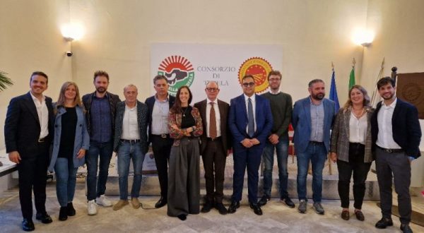 Mozzarella Dop, eletto il nuovo CdA del Consorzio di Tutela