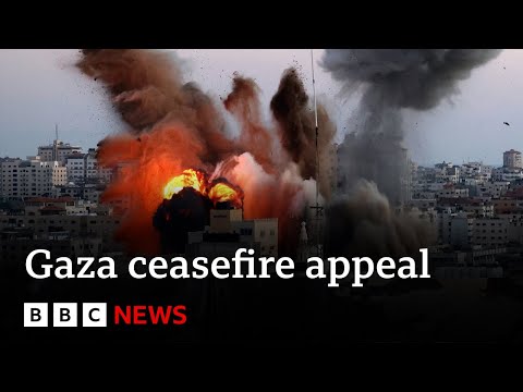 Gaza bombing: “End this god-awful nightmare” says United Nations – BBC News