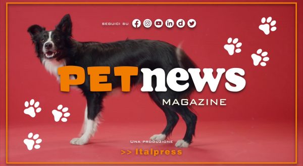 PetNews Magazine – 24/10/2023