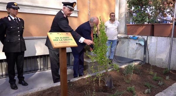 Ospedali più green, al via il progetto “Un albero per la salute”