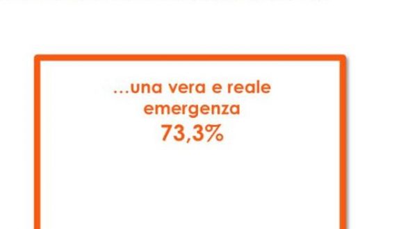 Femminicidi, una “vera e reale emergenza” per 3 italiani su 4