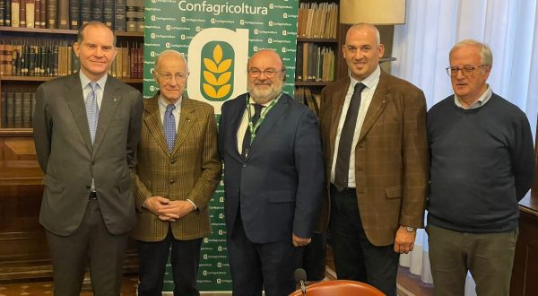 Olio Evo, accordo Confagricoltura-Unapol per slancio al comparto