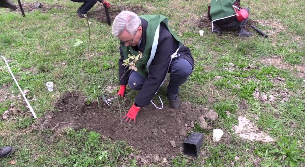 Al via progetto di riforestazione da Torino