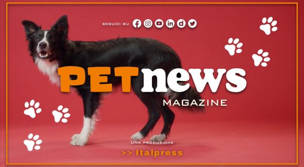 PetNews Magazine – 21/11/2023