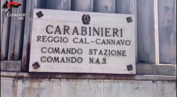 Reggio Calabria, sequestro di salumi e carne per due tonnellate