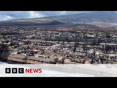 Investigating the Hawaii wildfires – BBC News