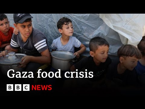 UN says people in Gaza are close to starvation – BBC News