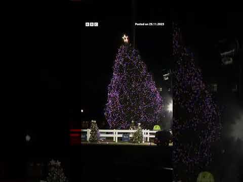 Moment White House Christmas tree blown over by high winds. #USPolitics #BBCNews