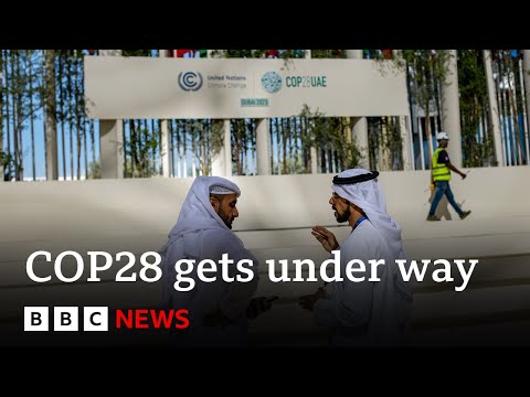 COP28 climate summit gets under way in Dubai | BBC News