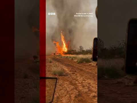 Moment ‘firenado’ sweeps through the Australian outback. #Shorts #Wildfire #Firenado