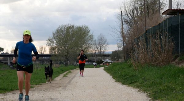 Cinofilia sportiva, Fidasc a sostegno del “cane-atleta”