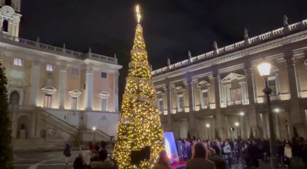 In Piazza del Campidoglio l’Albero dedicato alla Costituzione