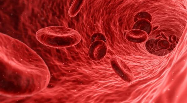 Leucemia linfoblastica acuta, in Italia la terapia Car-T di Gilead