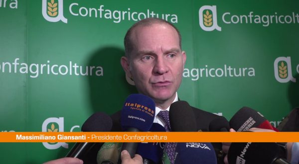 Agricoltura, Giansanti “Serve un piano straordinario”